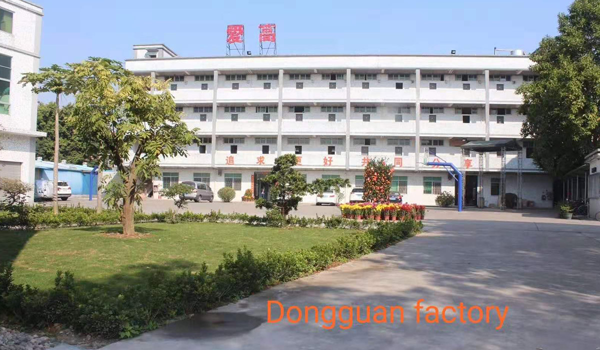 FDB'nin yeni fabrikası, Jiangmen şehri