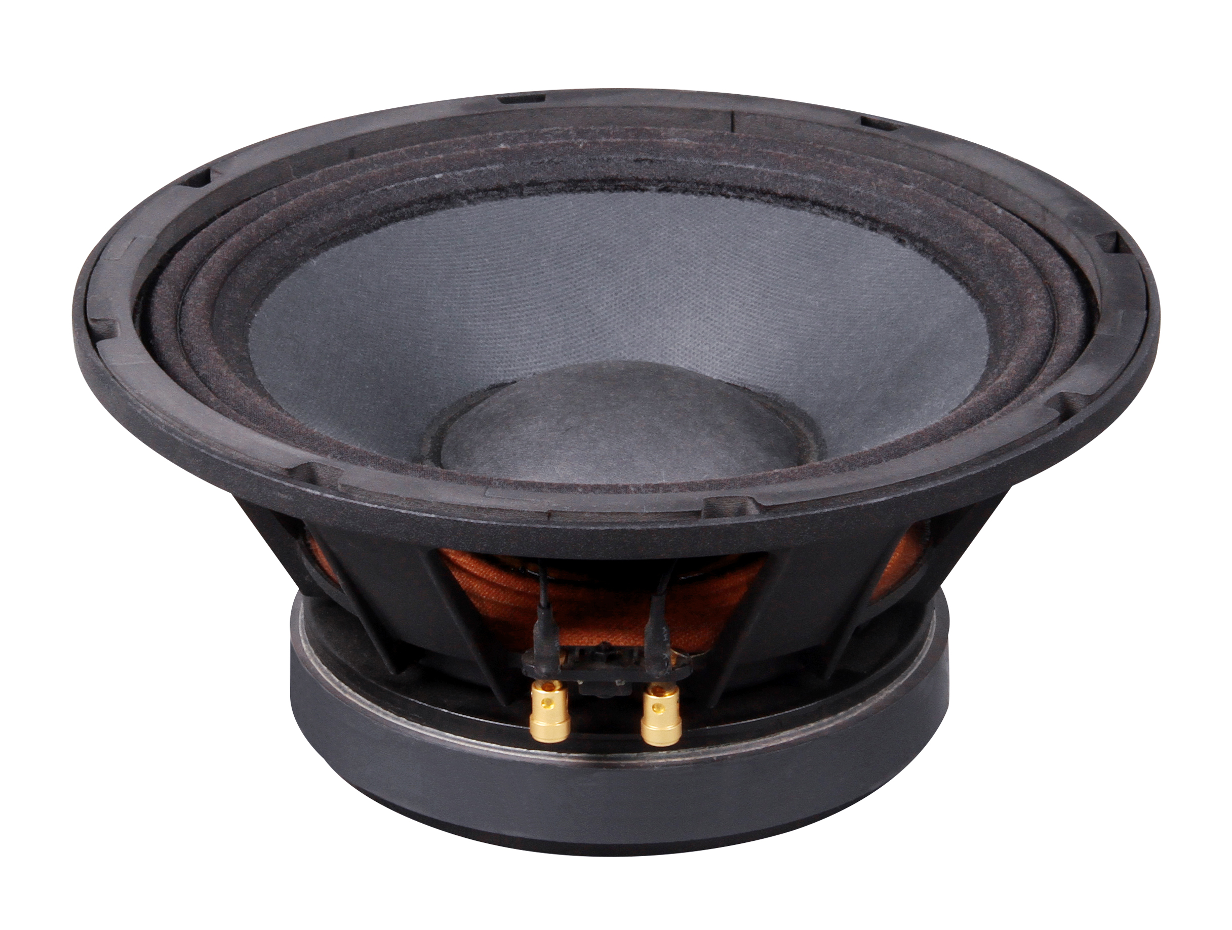 PL1030-16 10 inç Ferrit Woofer