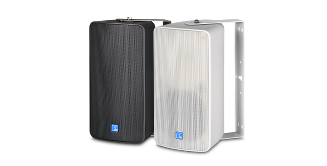 1x6 inç Tam aralıklı 80W Su geçirmez hoparlör