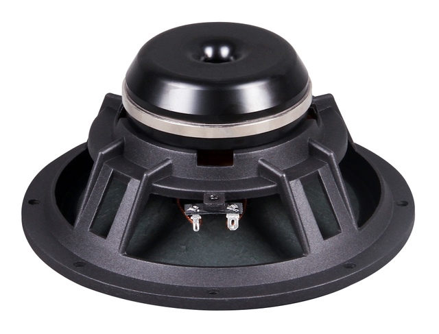 PL820N 8 inç neodimyum woofer